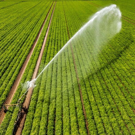 WDR 5 Mittagsecho  Wasserknappheit: Was die Landwirtschaft tun kann   Podcast in ARD Sounds