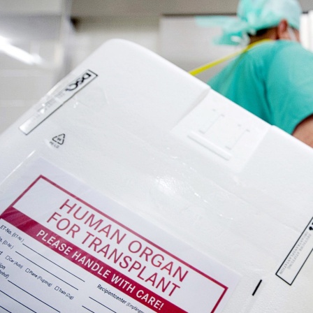 Eine Organspendebox mit der Aufschrift "Human organ for transplant".