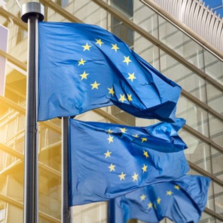 Europaflaggen wehen vor dem Europaparlament im Wind.