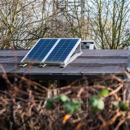 Solarpanel auf einem Dach eines Schrebergartenhauses