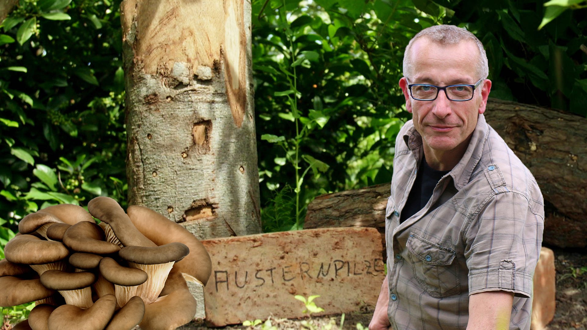 Mein leckerer Garten Der Pilzprofi (S02/E04) ARD Mediathek
