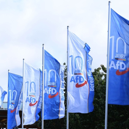 Flaggen mit der Aufschrift: 10 Jahre AfD - Bereit für mehr im Eingangsbereich der Messe in Magdeburg