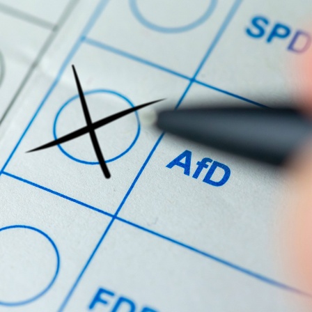 Nahaufnahme von einem Stimmzettel mit Kreuz für die AfD