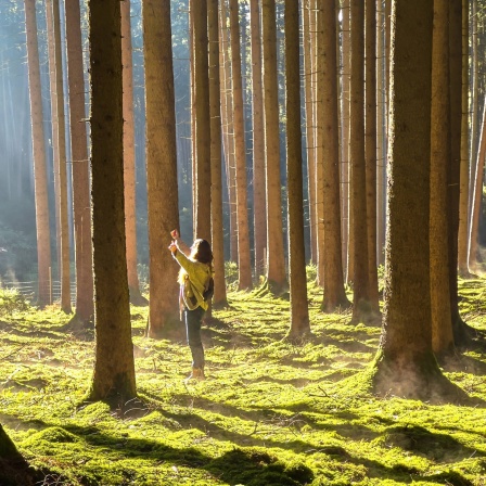 Waldbaden