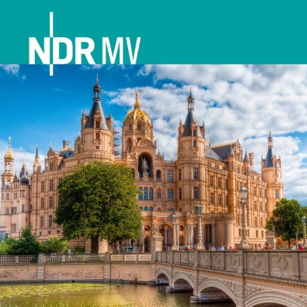 Vorschaubild für den Podcast des Mecklenburgstudio Schwerin auf NDR 1 Radio MV
