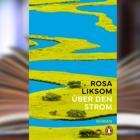 Buchcover: "Über den Strom" von Rosa Liksom