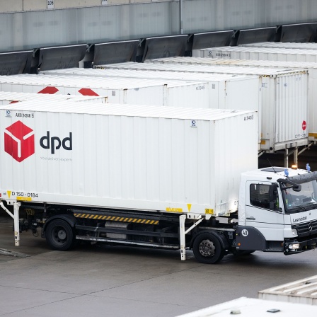 Container des Paketdienstleisters dpd stehen auf dem Gelände des Paketzentrums.