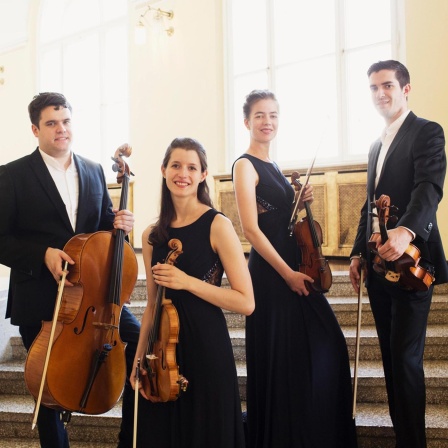 Das Aris Quartett: Die Kunst des demokratischen Musizierens