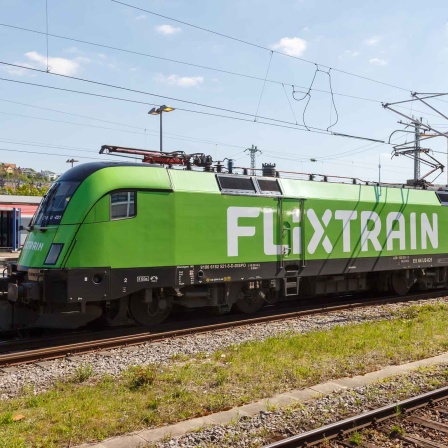 Flixtrain (Bild: picture alliance / Markus Mainka)