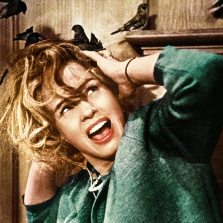 Ein Foto aus dem Hitchcock Film "Die Vögel": Tippi Hedren als Melanie Daniels schreit beim Angriff von mehreren Vögeln.