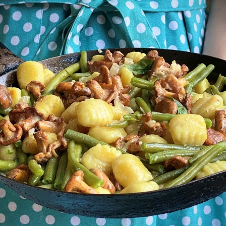 Gnocchi mit Pfifferlingen