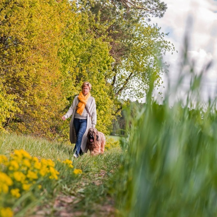 Eine Frau geht mit ihrem Hund spazieren auf einer Wiese am Waldrand spazieren: In fast jedem zweiten Haushalt in Deutschland wohnt eine Person allein. Manche sind bewusst Single, für andere ist es ein Zustand auf Zeit. Vor allem Singlefrauen verspüren den Druck, sich zu binden.