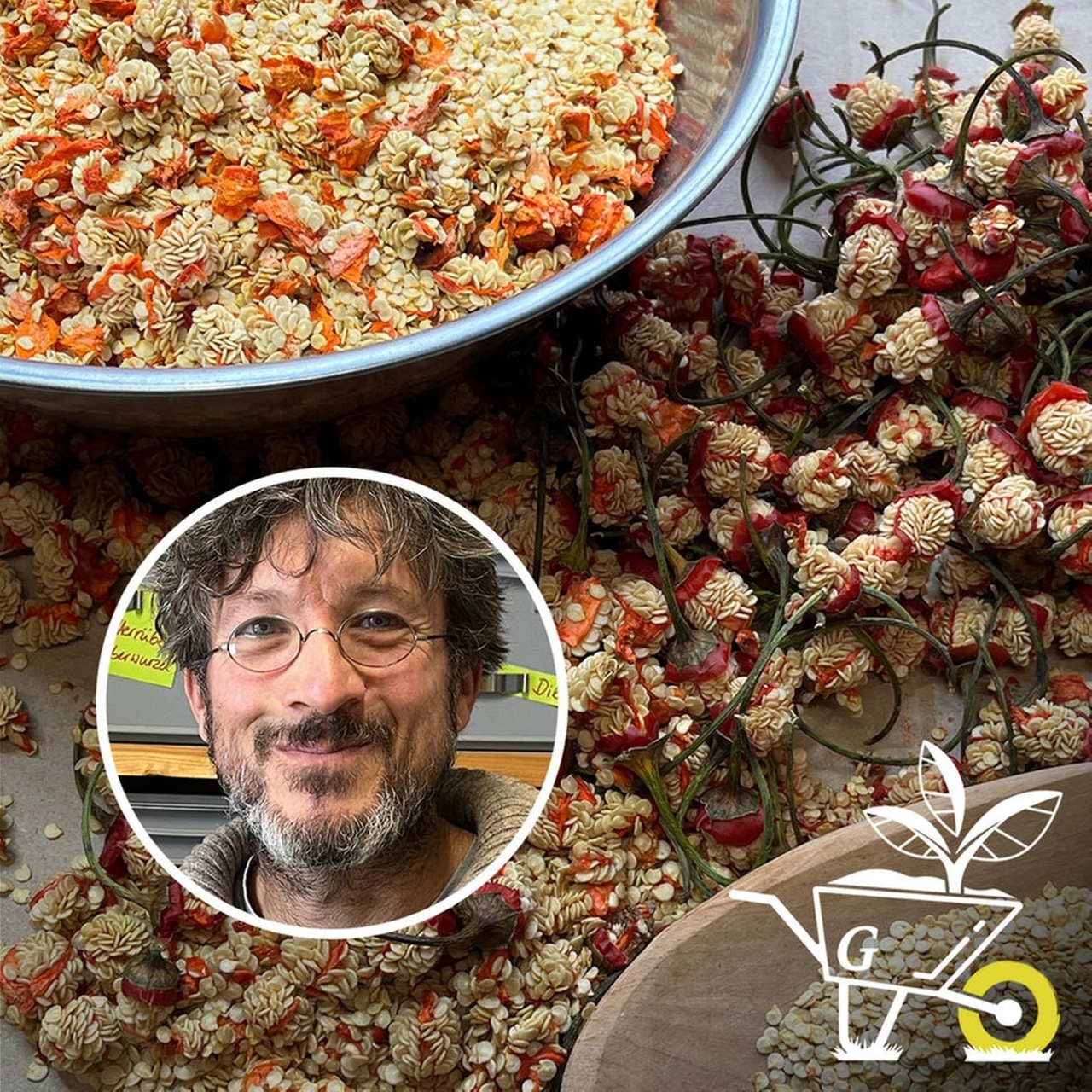 Komm mit in den Garten · 49 Saatgut Was macht alte GemüseSorten so