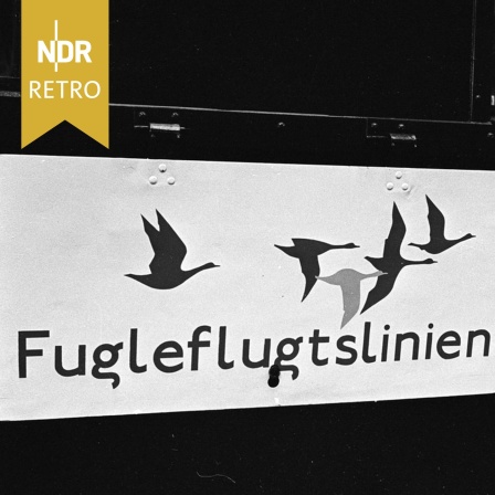 Logo der Fugleflugtslinien (Vogelfluglinie) an einem Zug (Foto: 1960erJahre)