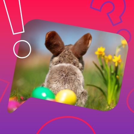 Ein kleiner brauner Osterhase sitzt auf der Frühlingswiese zwischen bunten Ostereiern und versteckt seine Schätze neben leuchtenden Blumen im Gras