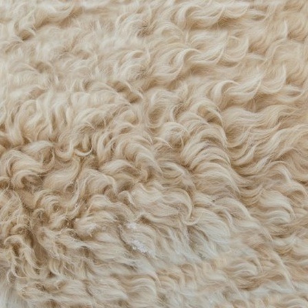 Wärmendes Tierhaar: Schafpelz oder auch einfach Wolle