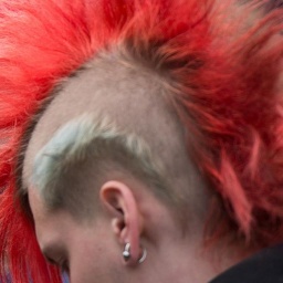 Ein Punk mit rotem Irokesenschnitt auf einer Demo. Foto: Maurizio Gambarini/dpa
