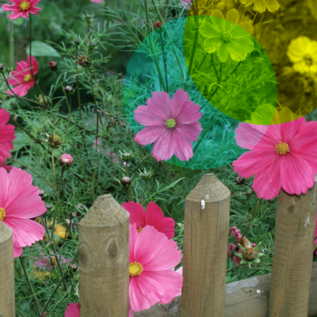 Zwischen Glück und Giersch: Sehnsuchtsort Garten