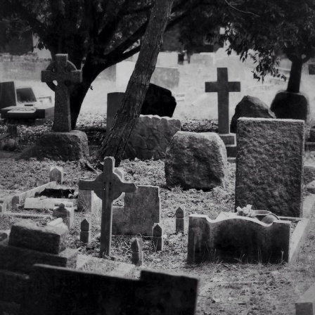 Schwarz-Weiß-Bild von Grabsteinen auf einem Friedhof