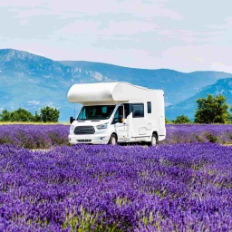 Beitragsbild zeigt einen Wohnwagen unterwegs in der Provence, Frankreich. Rechts und links der Straße sind Lavendelfelder. 