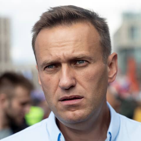 Alexej Nawalny, Oppositionspolitiker von Russland (Quelle: dpa/Pavel Golovkin)