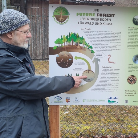 Wald im Wandel - Die Zukunft eines Mythos