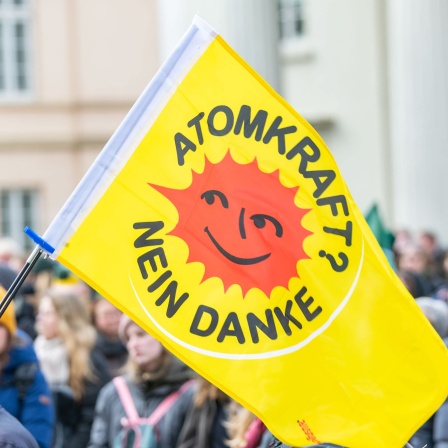 Fridays for Future Klimastreik, Oldenburg