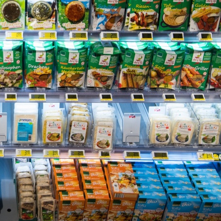 Fleischersatzprodukte in einem Supermarktregal