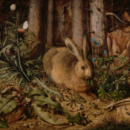 Reproduktion eines Öl-Gemäldes von 1585: Ein Hase im Wald, von Hans Hoffmann, um 1585, deutsches Gemälde, Öl auf Tafel. Minutiöses Gemälde eines Hasen, hockend auf einem Waldboden. Baumstämme und Pflanzen wie Disteln und Blumen sind akribisch wiedergegeben.
      