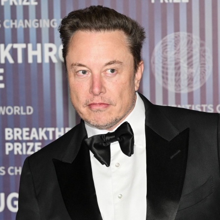 Tesla-Chef Elon Musk