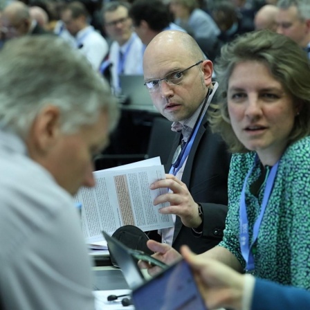 Wieviel Hoffnung haben Klimaforscher wirklich? - Klimakonferenz COP28