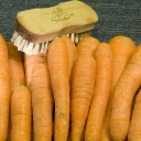 Gemüsebürste und Karotten