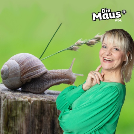 Fotomontage: Mausmoderatorin Nina lachend neben einer Schnecke, die auf einem Holzstumpf kriecht