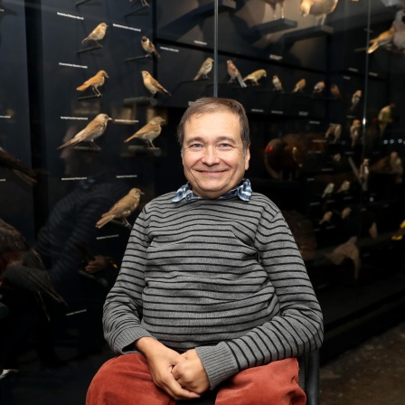 Onur Güntürkün, Professor für Biopsychologie sitzt in der Sonderausstellung Mensch und Tier im Rurhmuseum in Essen vor ausgestellten Vögeln. 