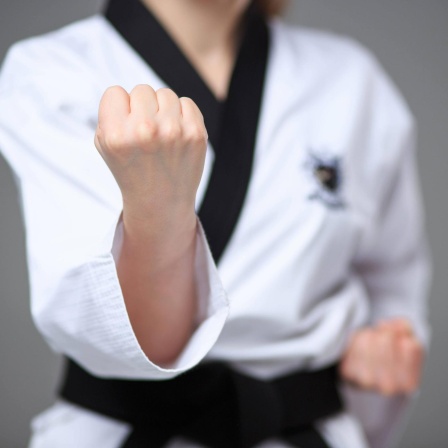 Karate - Geschichte einer Kampfkunst