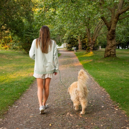 Eine Frau geht mit ihrem Hund im Park