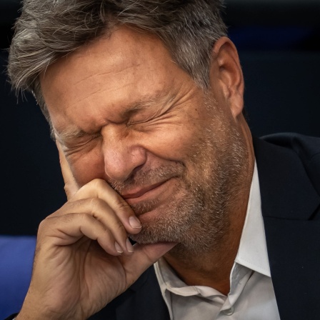 Robert Habeck (Bündnis 90/Die Grünen)