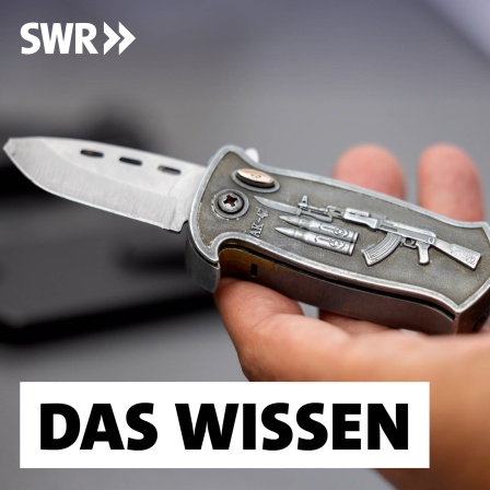 Ein Polizeibeamter hält ein sichergestelltes, verbotenes Springmesser in der Hand: Tödliche Messerangriffe nehmen zu und beschäftigen die Polizei nicht erst seit den Ereignissen von Solingen. Hier war das Motiv Terrorismus. Das ist aber die Ausnahme bei der Messergewalt.