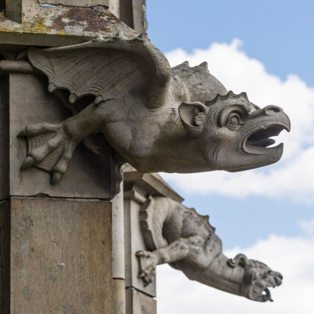 Ungeheuer, Weisheitswesen und Kuscheltier - Der Drache als Symbol von Schatten und Licht