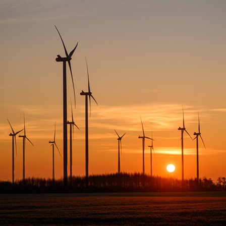 Ein Windpark im Sonnenaufgang