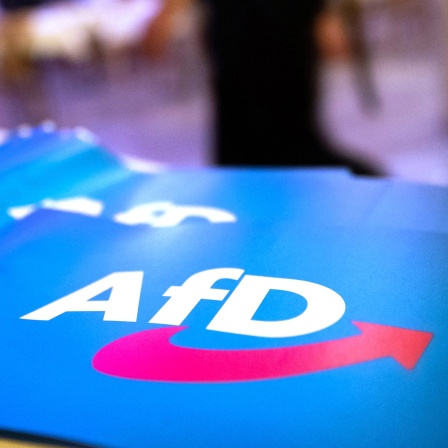Fähnchen mit dem Logo der AfD liegen auf einem Tisch.