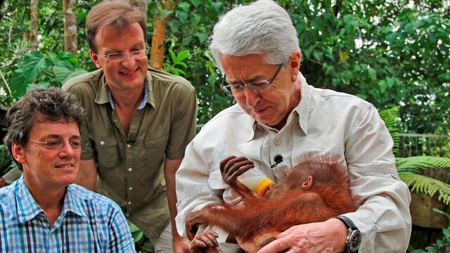 Frank Elstner füttert ein Orang-Utanbaby