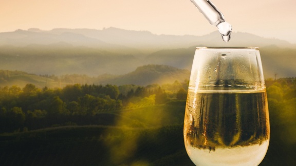 Geschichte Im Ersten - Der Große Weinskandal - Panscher Und Profit