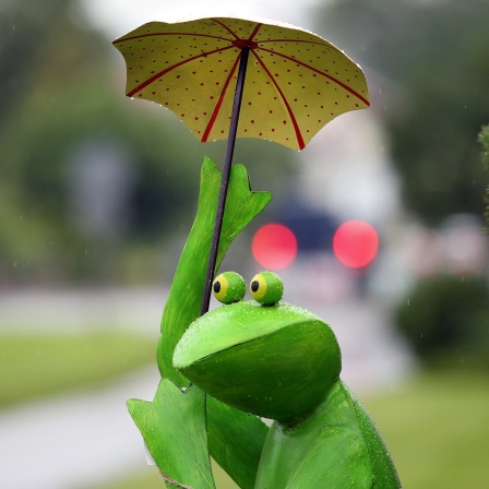 Eine Froschfigur mit einem Regenschirm.