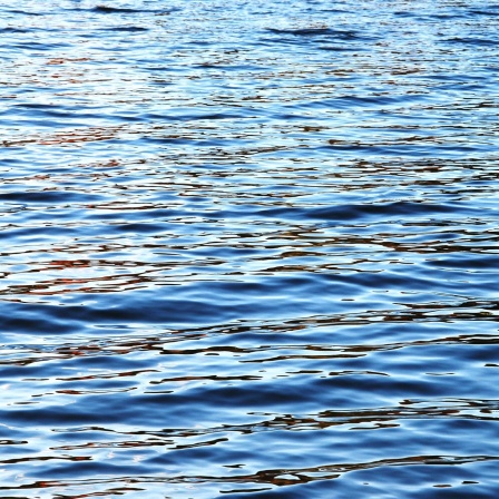 Wasser - ein Feiertags-Feuilleton