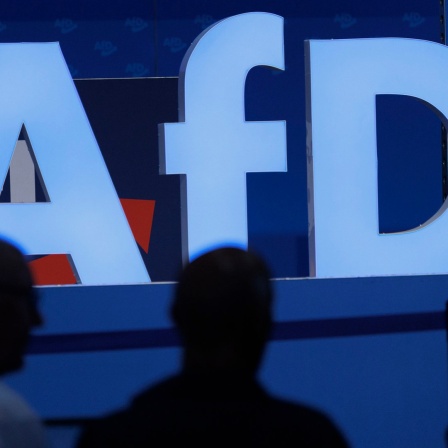 Delegierte sitzen beim AfD-Bundesparteitag in der Magdeburger Messe vor einem Logo der Partei.