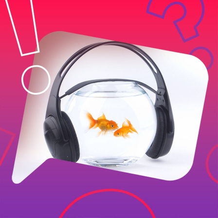 Goldfisch im Glas mit Kopfhörern