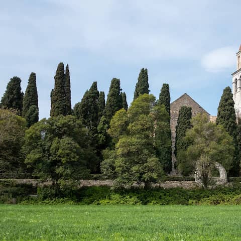 Aquileia (Foto: Imago / Eibner)