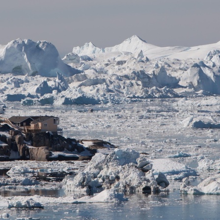 Fräulein Smillas Gespür für Schnee - Ein Umweltkrimi bei den Inuit