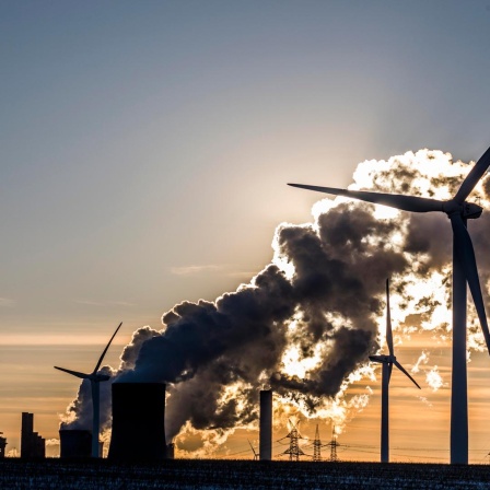 Rauchende Schornsteine eines Kraftwerks stehen im Gegenlicht neben mehreren Windrädern, während dichter Dampf in den Himmel steigt und die Sonne hinter den Anlagen untergeht.
